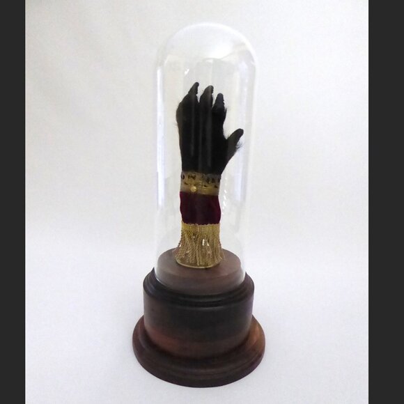 16” REAL TAXIDERMY “CURSED” MONKEY PAW HAND IN GLASS DOME DISPLAY BASE ODDITY - Picture 3 of 15